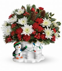 Send a Hug Deck The Igloo by Teleflora from Fields Flowers in Ashland, KY